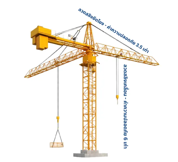 CraneSafetyFactor