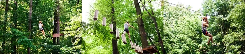wireropezipline-adventure