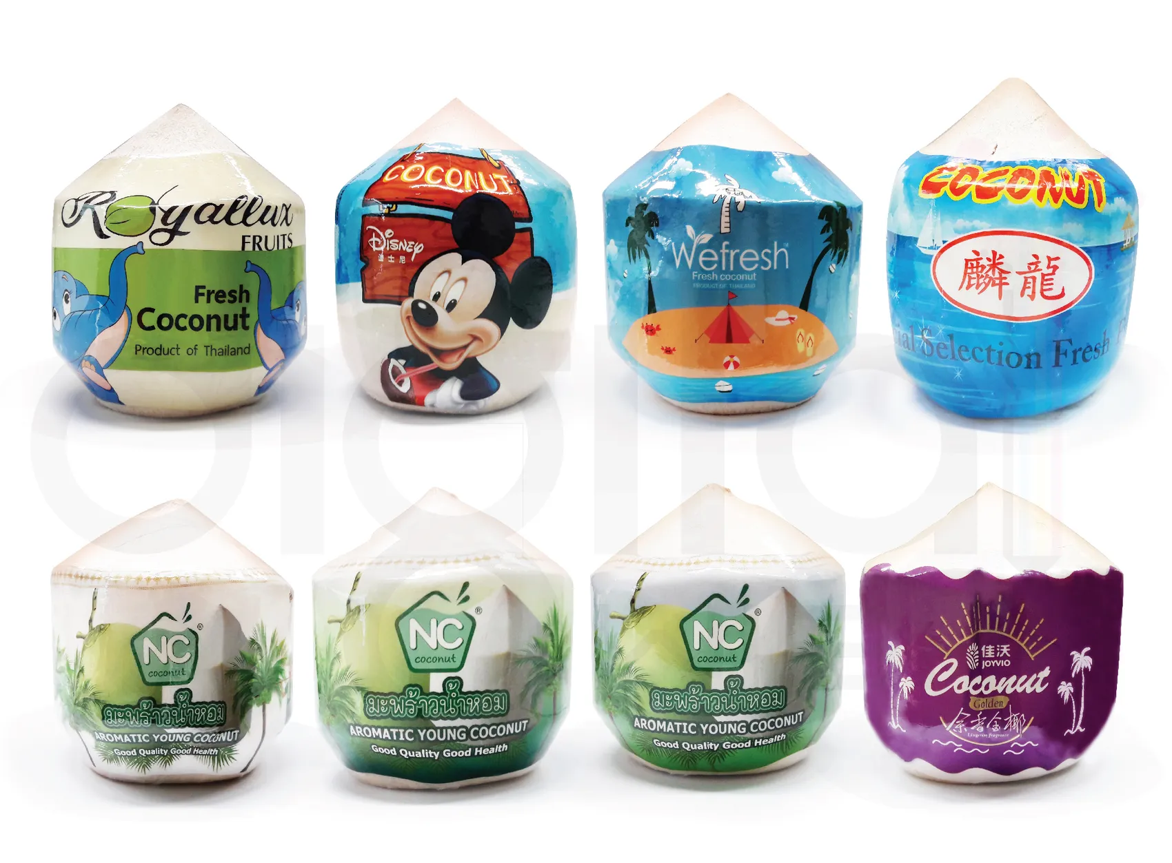 MixCoconut2-01
