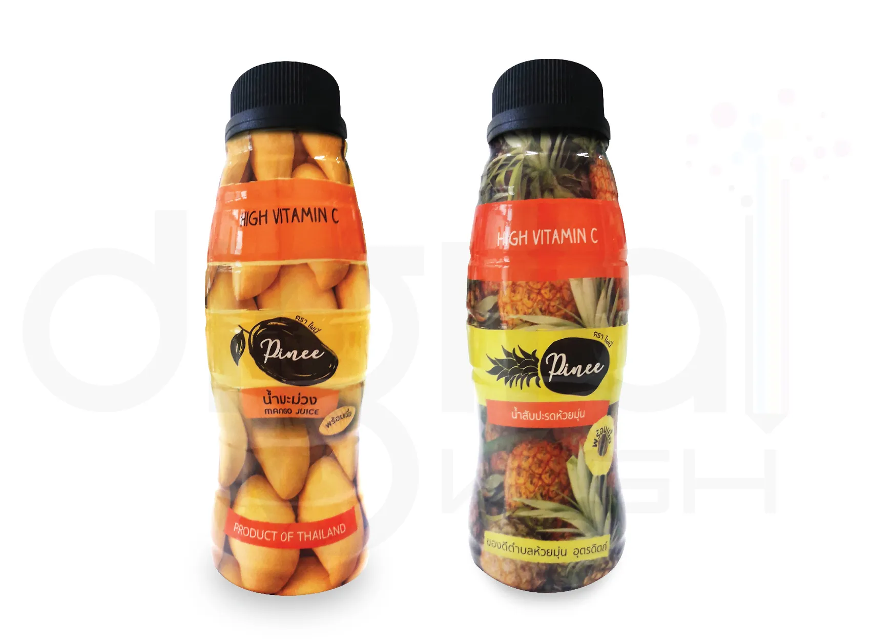 Pinee-01(1)