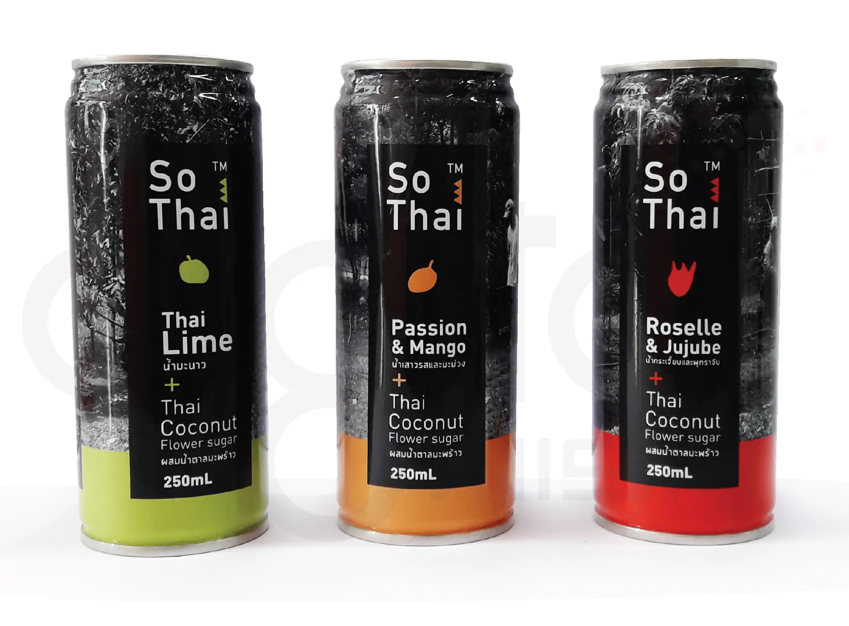 SoThai-01