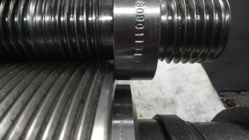 S10190870