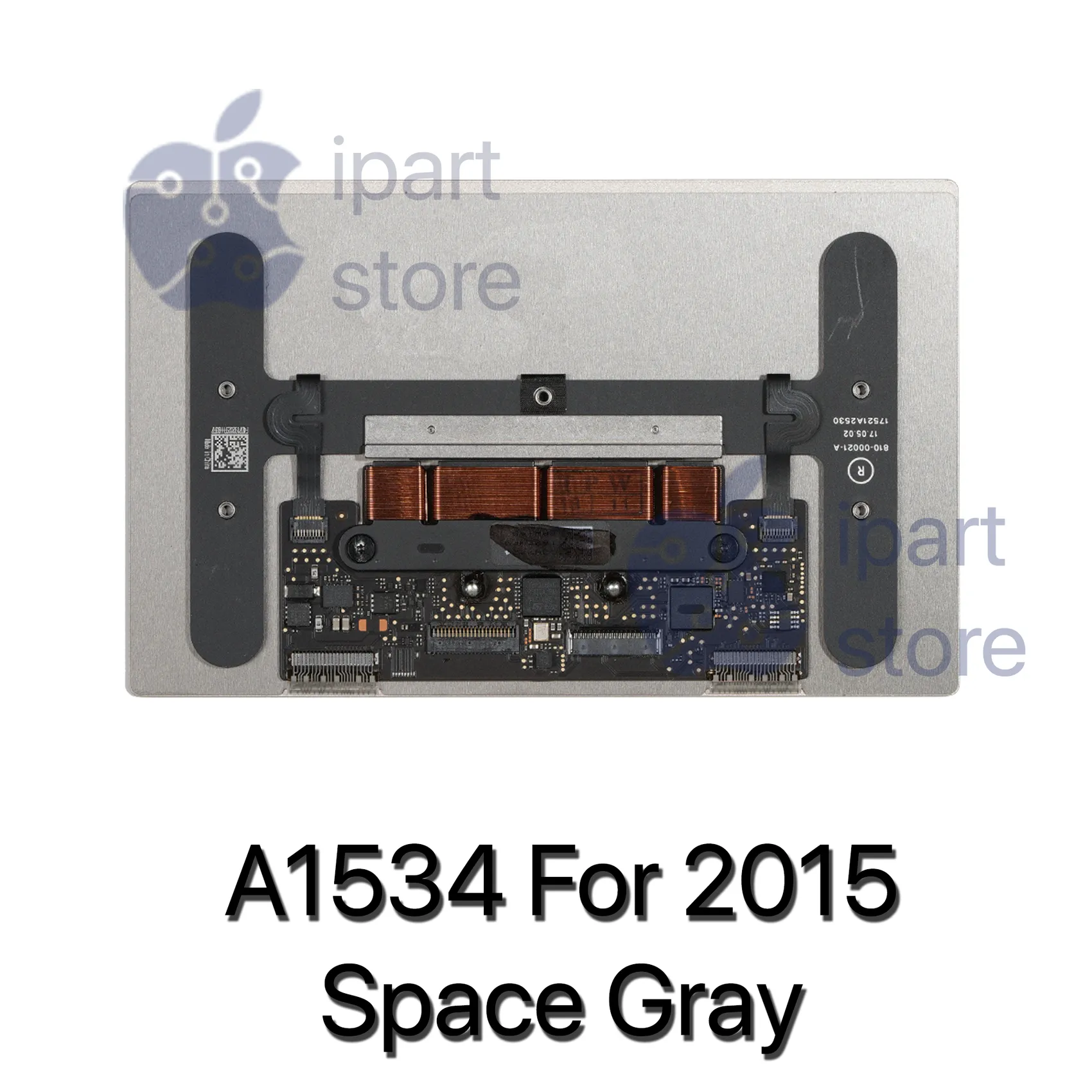 A1534-2015SG