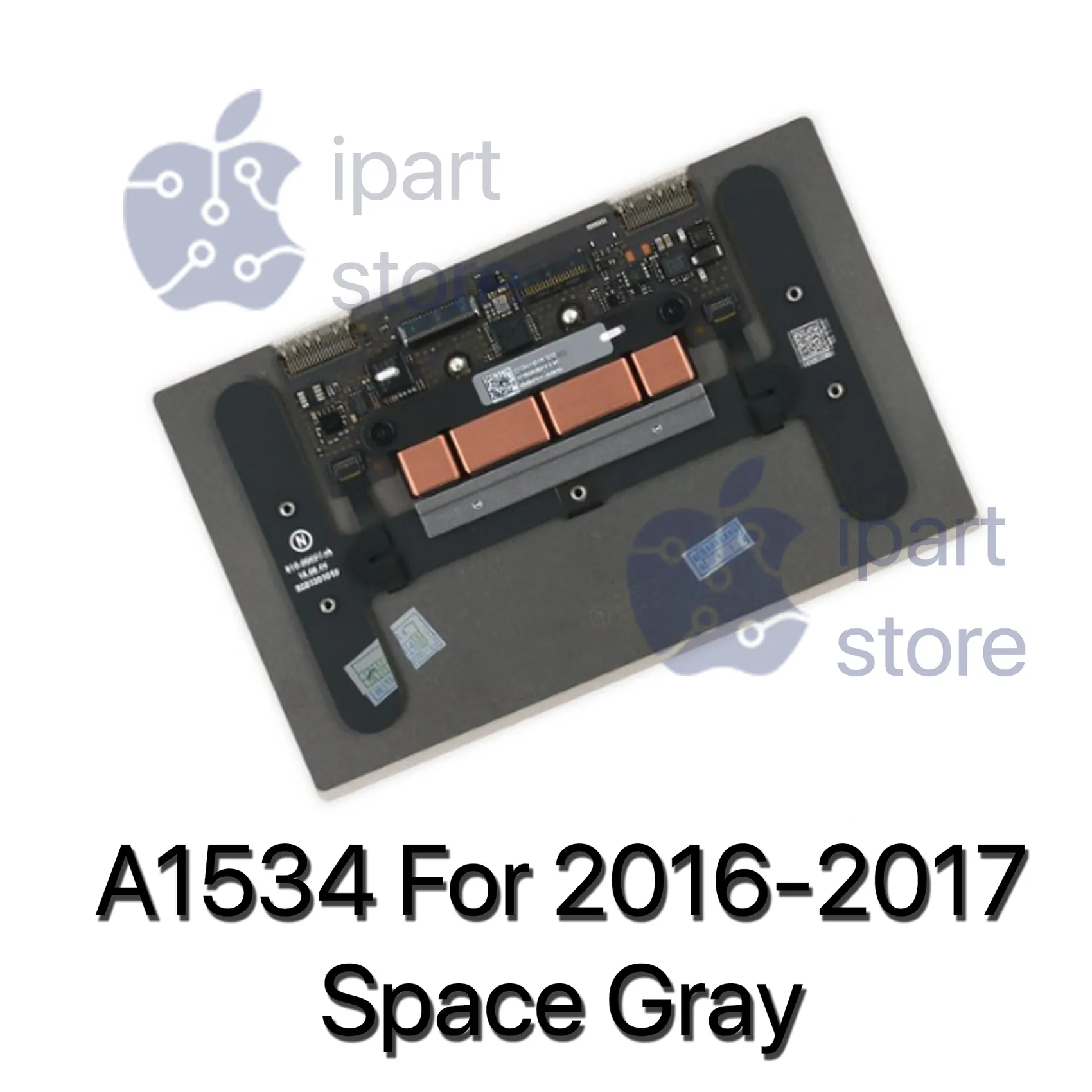 A1534-2017SG