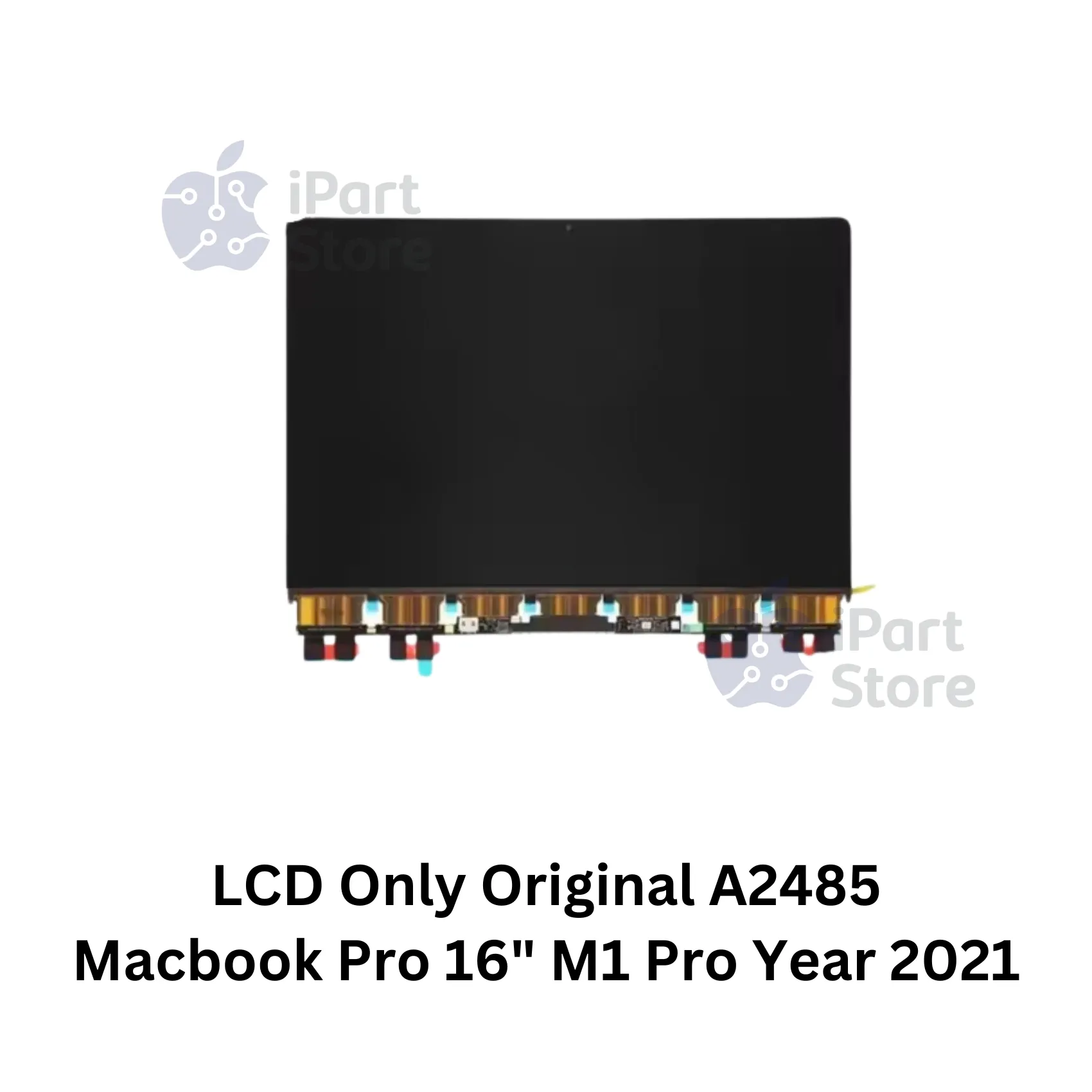 A24853