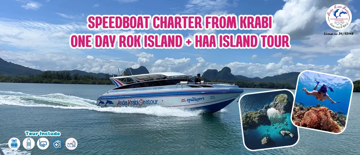 SpeedboatcharterfromkrabiOnedayRokIslandHaaIslandTour