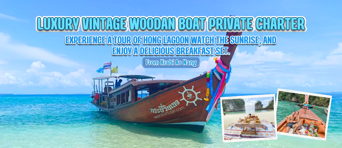 luxuryvintagewoodanboatPrivateCharter(5)