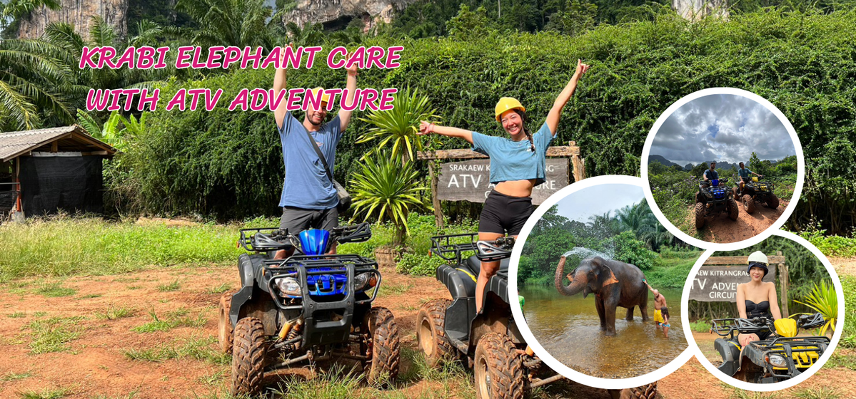 KrabiElephantCarewithATVAdventure