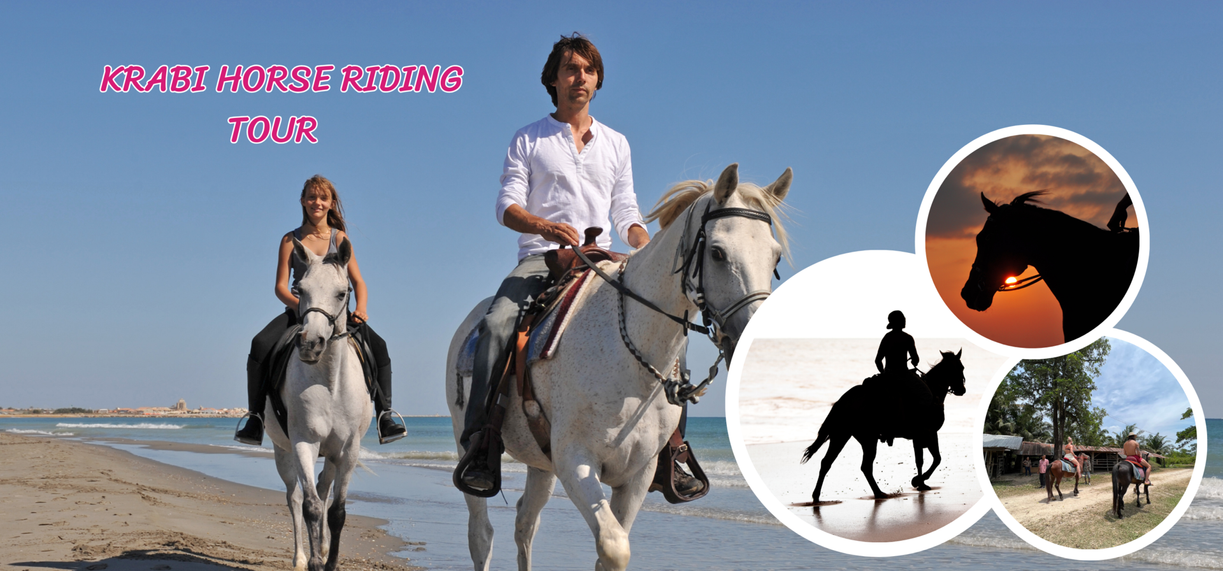 KrabiHorseRidingTour