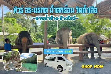-อาบน้ำช้างช้างโชว์-
