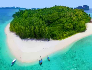 Bamboo-island