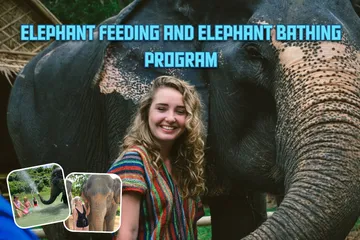 Elephantfeedingandelephantbathingprogram