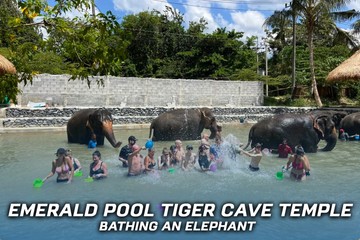 EmeraldPoolTigerCaveTempleBathinganelephant