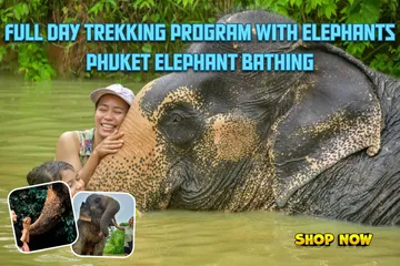 FulldaytrekkingprogramwithelephantsPhuketelephantbathing