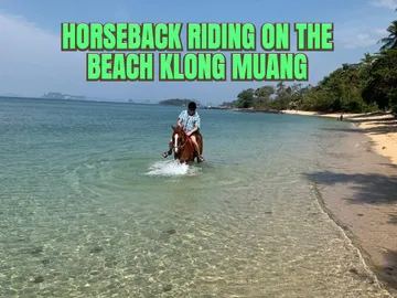 HorsebackRidingontheBeachKlongMuang(2)