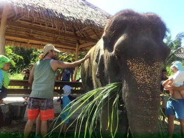 LINEALBUMElephantSanctuaryKrabiสปาช้าง๒๒๑๒๑๔19