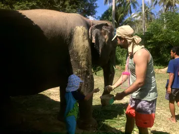 LINEALBUMElephantSanctuaryKrabiสปาช้าง๒๒๑๒๑๔21