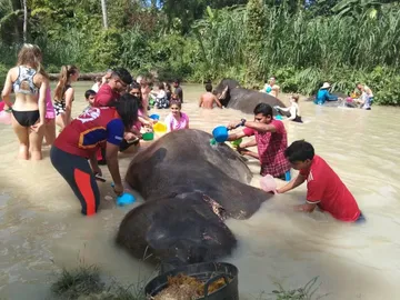 LINEALBUMElephantSanctuaryKrabiสปาช้าง๒๒๑๒๑๔82
