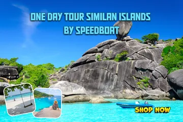 OneDayTourSimilanIslandsbySpeedboat