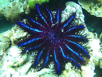 S6987821