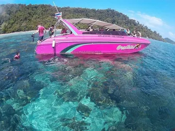 S6987826