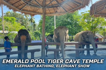 TourEmeraldPoolTigerCaveTemple(2)