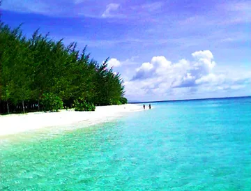 bamboo-island-02