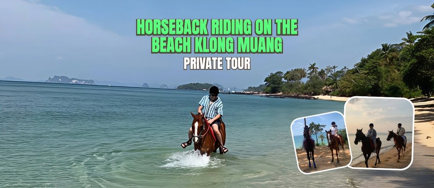 HorsebackRidingontheBeachKlongMuang
