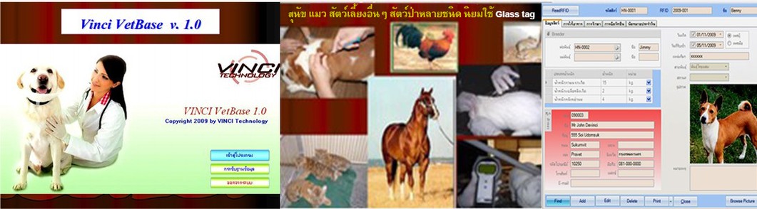 iTopPlus269794173773