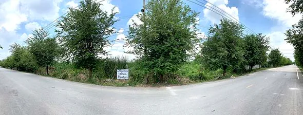 rz1