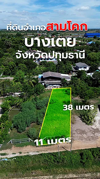 ปก
