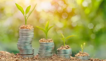 FinanceCoinsLandSprouts