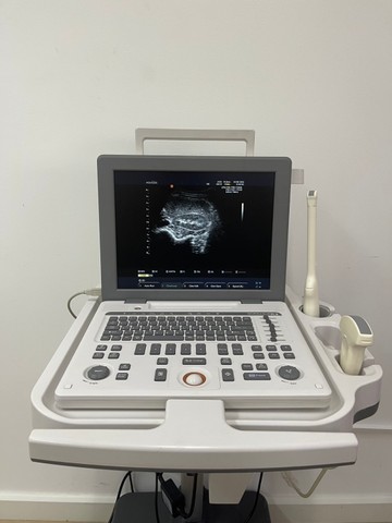 S167281590