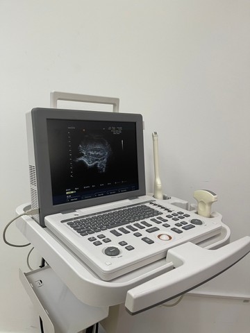 S167281630