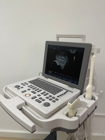 S167281650