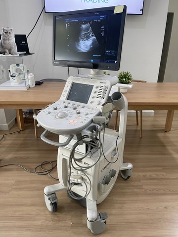 S167364660