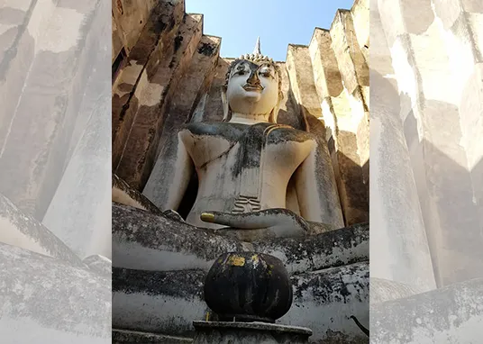 iTopPlus1187020651628