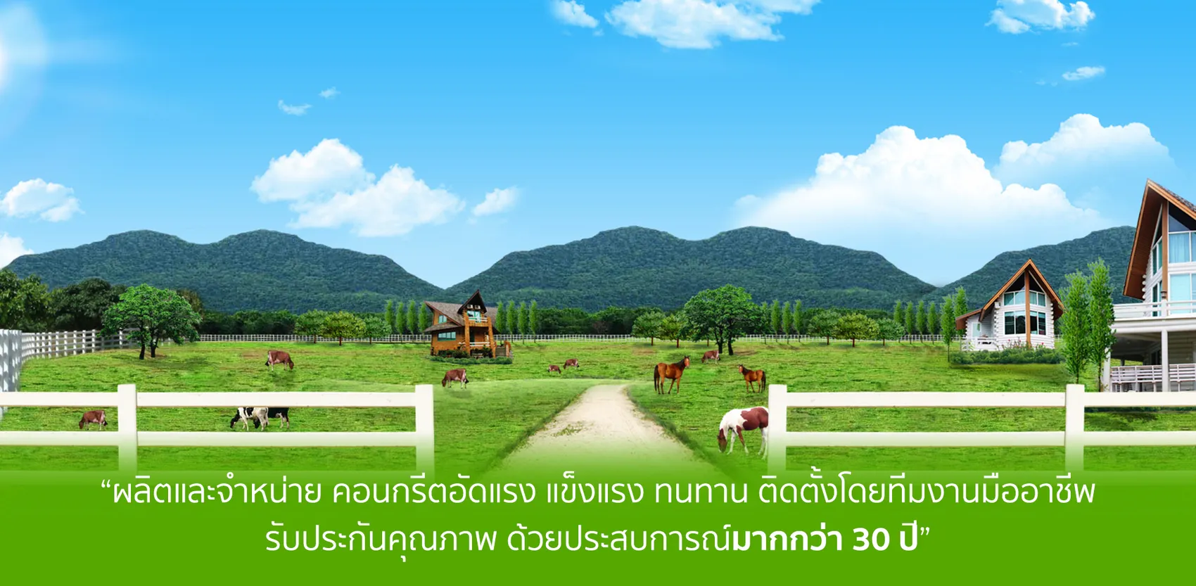 iTopPlus968023522996