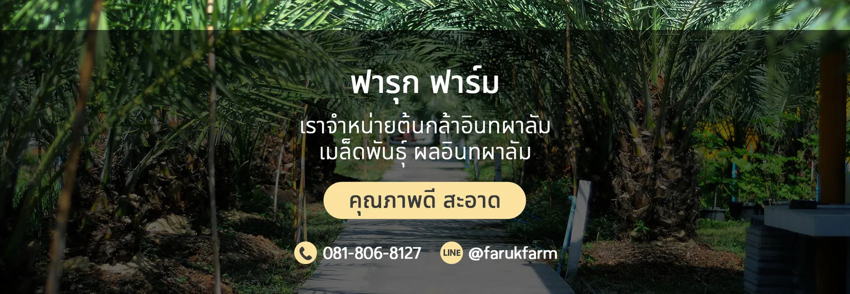 iTopPlus268411737460