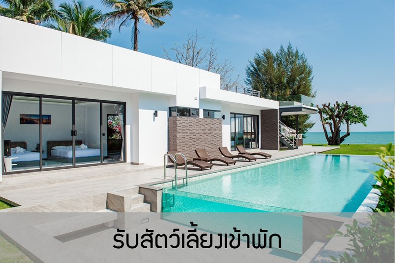 สัตว์เลี้ยง