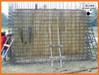 iTopPlus815570007574