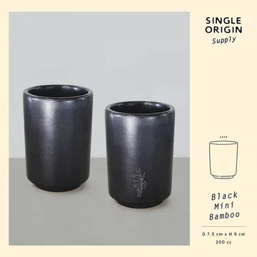ceramic