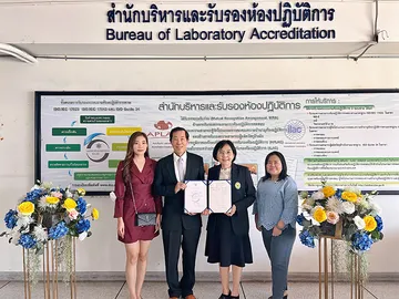 ลองดู