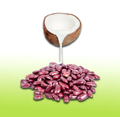 iTopPlus1193184750522