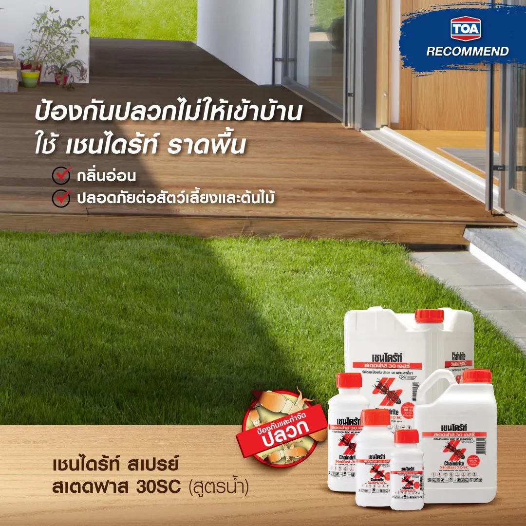 เชนไดร้ท์ ราดพื้น สเตดฟาส 30SC (สูตรน้ำ)