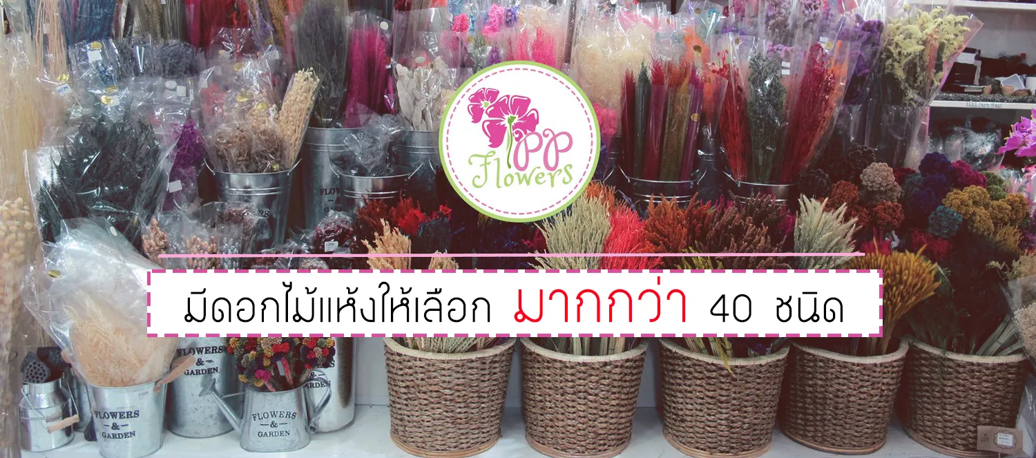 ดอกไม้แห้งกว่า40ชนิด