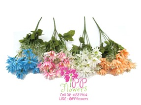 iTopPlus1088654941152