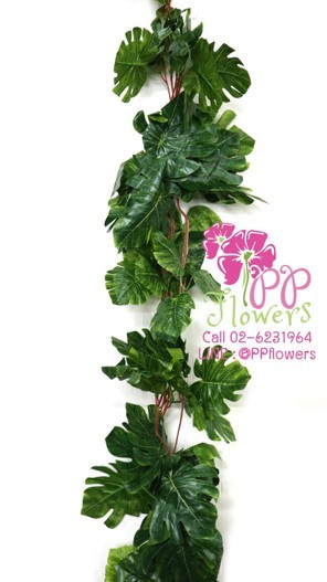 iTopPlus1013842615983
