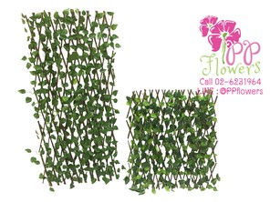 iTopPlus1206105208013