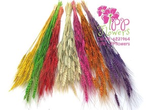 iTopPlus1437533072402